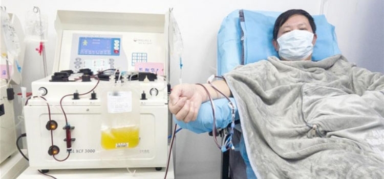 USP busca doadores de plasma com anticorpos para covid-19