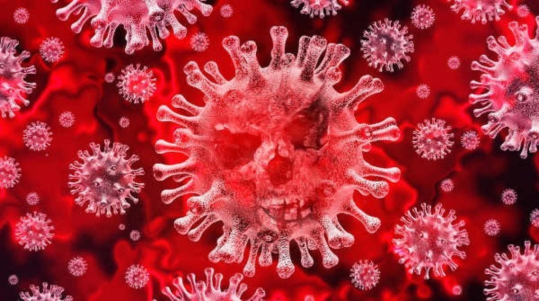 Covid-19: Brasil bate novo recorde de mortes e casos em um dia