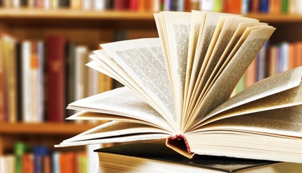 Indique um livro para uma boa distração | Jornal da Orla