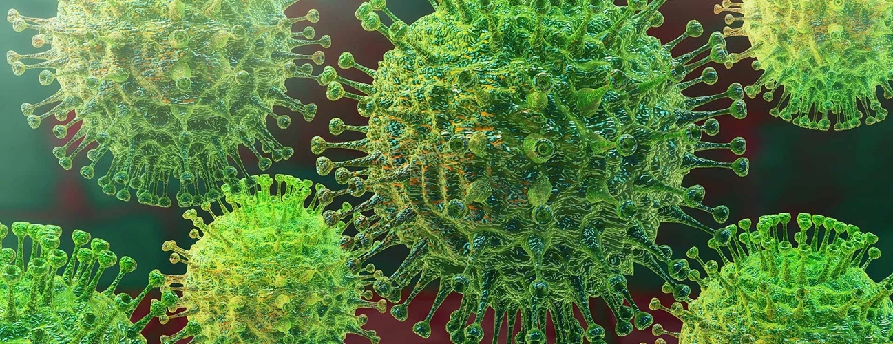 Estudo mostra que coronavírus já circulava no país antes do isolamento | Jornal da Orla