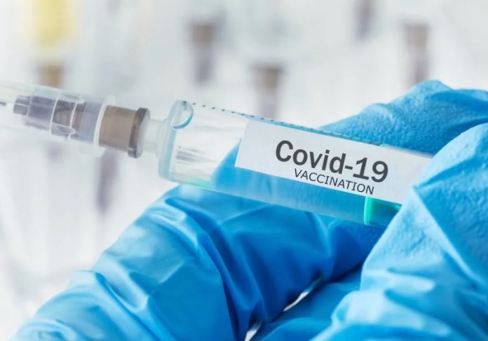 Covid-19: OMS espera produção de milhões de doses da vacina neste ano | Jornal da Orla