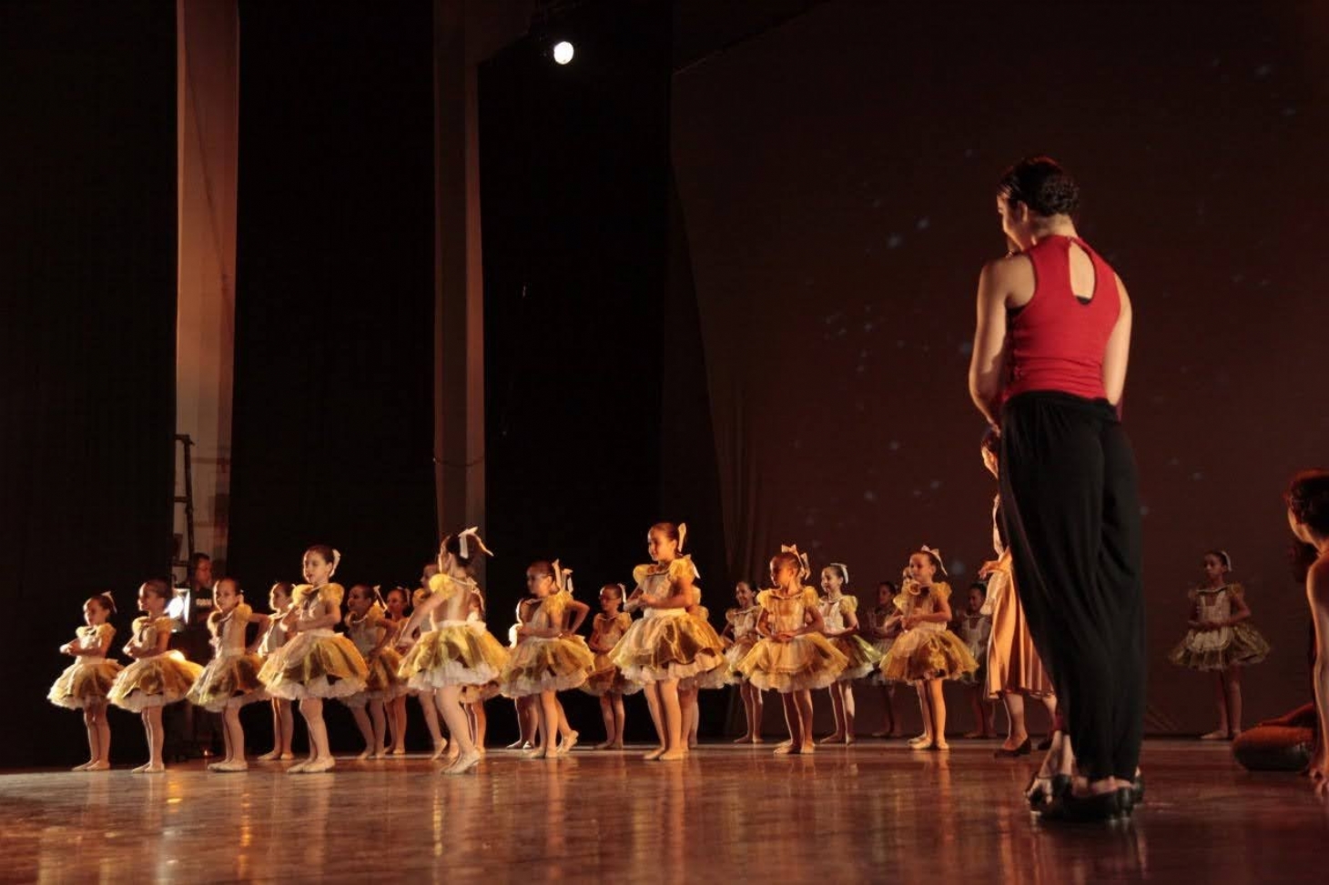 Espetáculo de balé é atração on-line neste sábado | Jornal da Orla