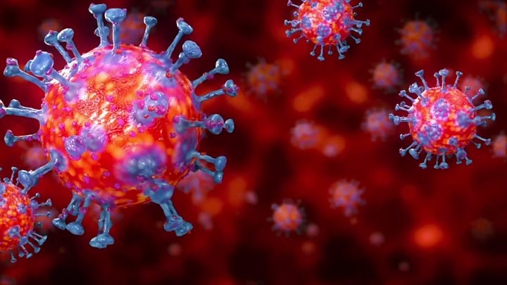 Empresa de SP desenvolve tecido que elimina novo coronavírus por contato | Jornal da Orla