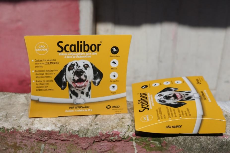 Cães selecionados receberão coleiras contra leishmaniose em Santos | Jornal da Orla