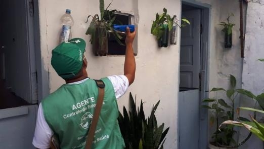 Ponta da Praia de Santos terá mobilização contra o mosquito Aedes aegypti