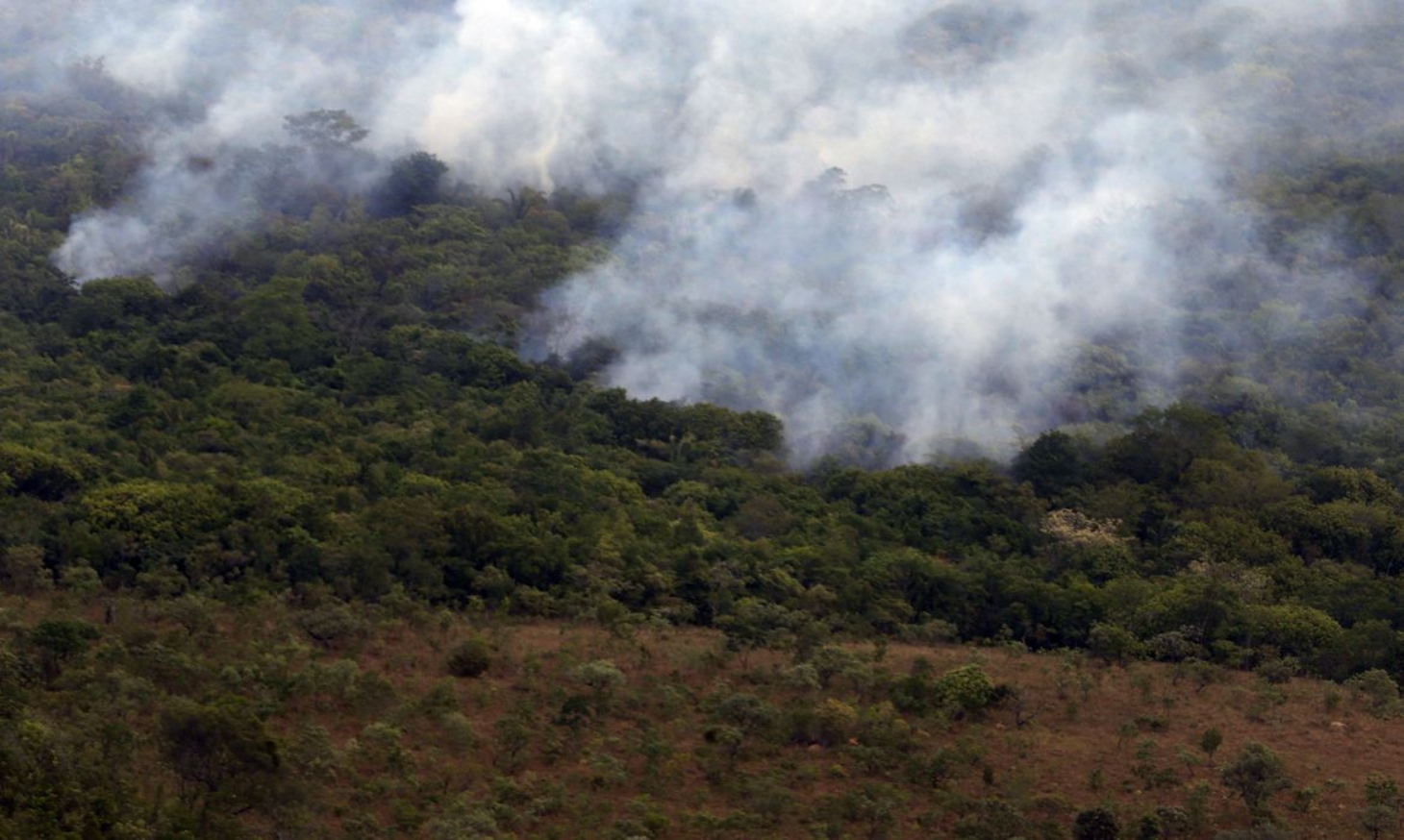 Decreto proíbe queimadas em todo o Brasil por 120 dias | Jornal da Orla
