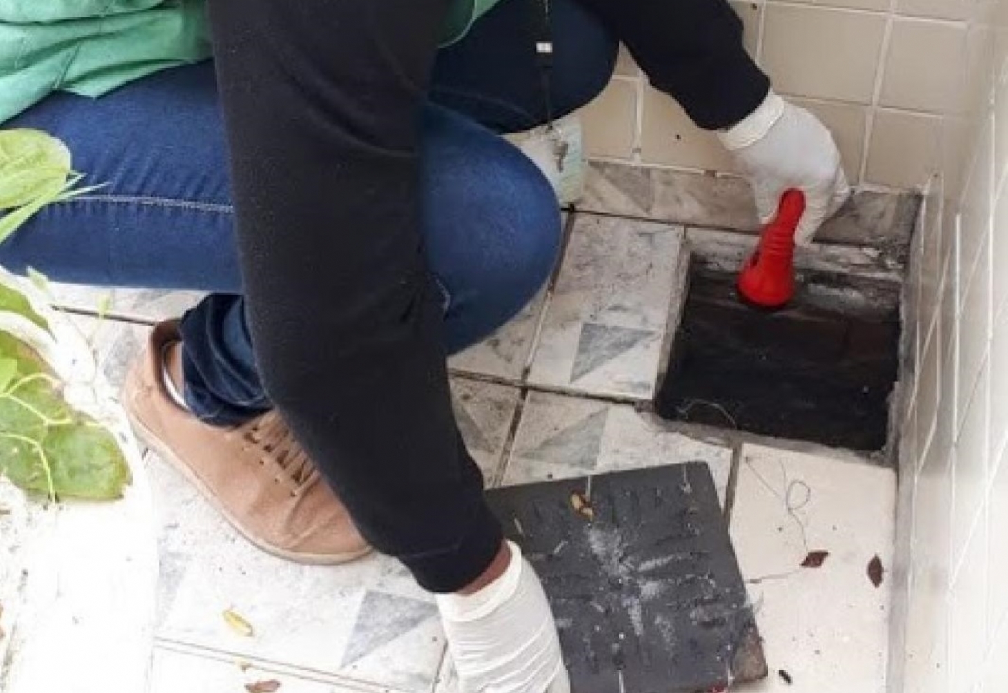 Mutirão na Ponta da Praia elimina 39 focos com larvas de mosquito da dengue