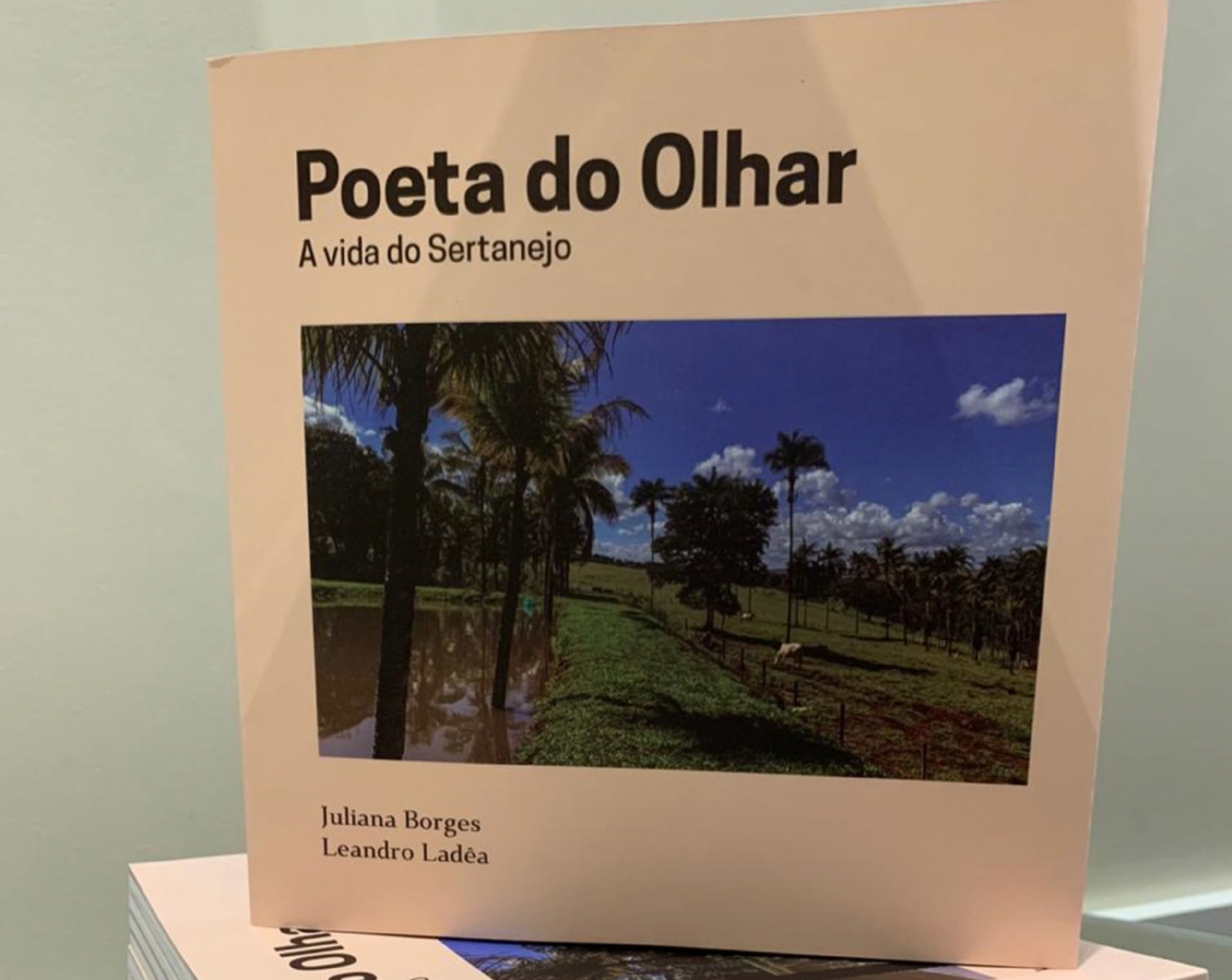 Agência de viagens lança livro de poesias e fotos artísticas sobre o interior do Brasil | Jornal da Orla