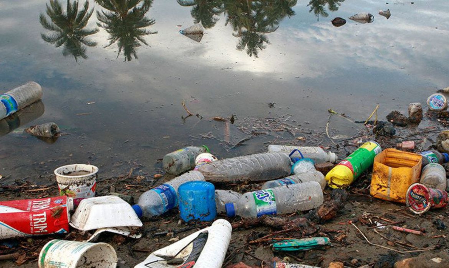 Plástico nos oceanos pode chegar a 600 milhões de toneladas em 2040 | Jornal da Orla