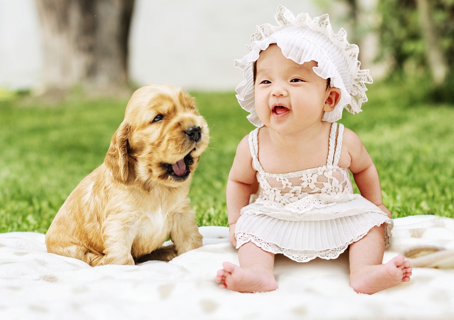 Convívio com pets melhora a imunidade de bebês | Jornal da Orla