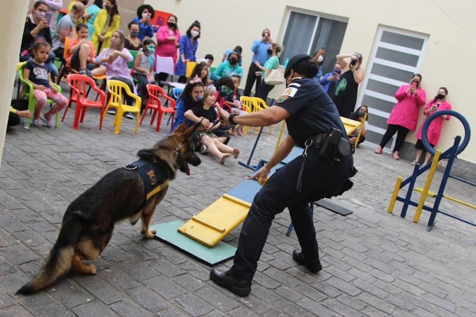 Cães da Guarda Municipal animam clínica para pessoas com autismo em Santos | Jornal da Orla