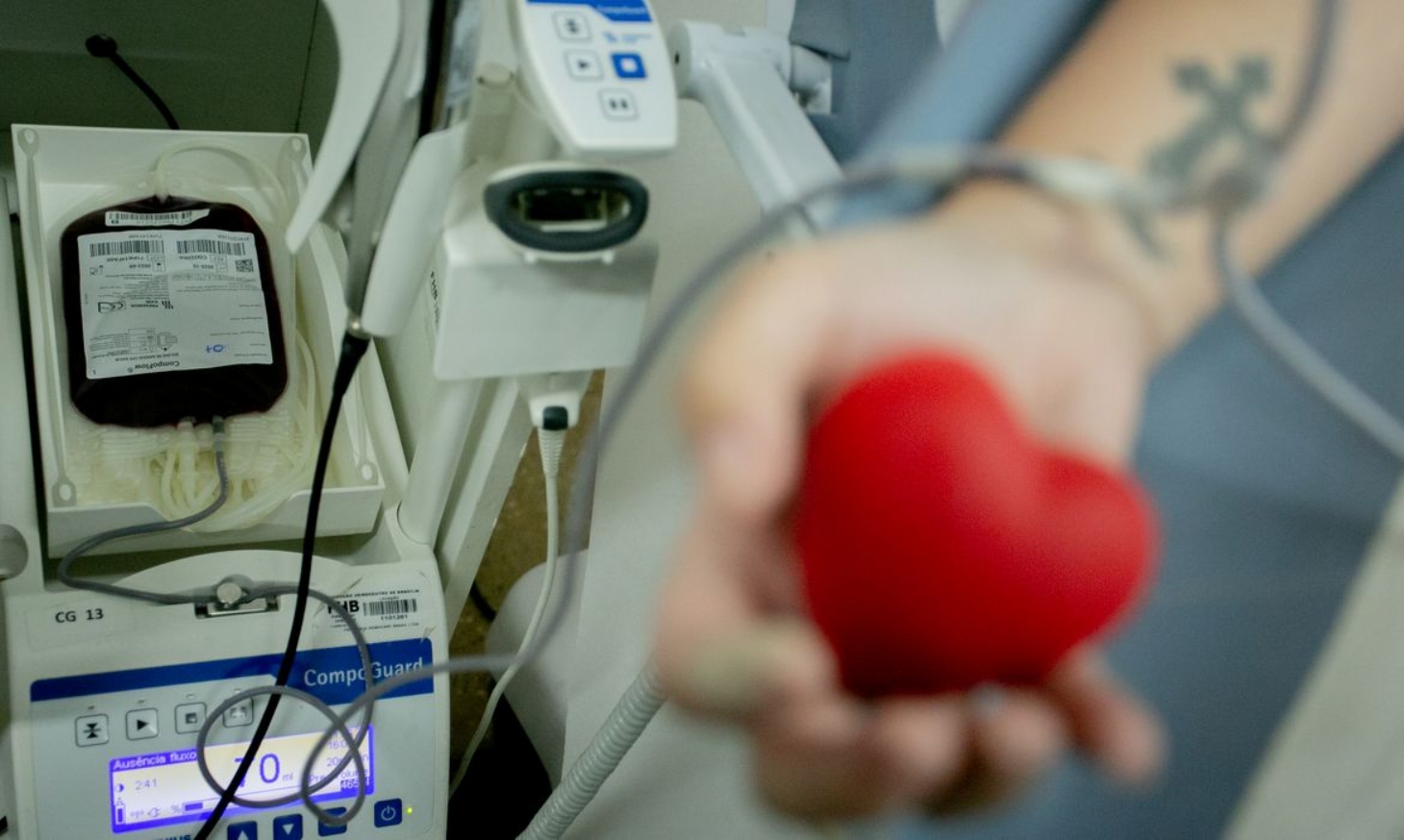 Senado proíbe discriminação a doadores de sangue homossexuais | Jornal da Orla