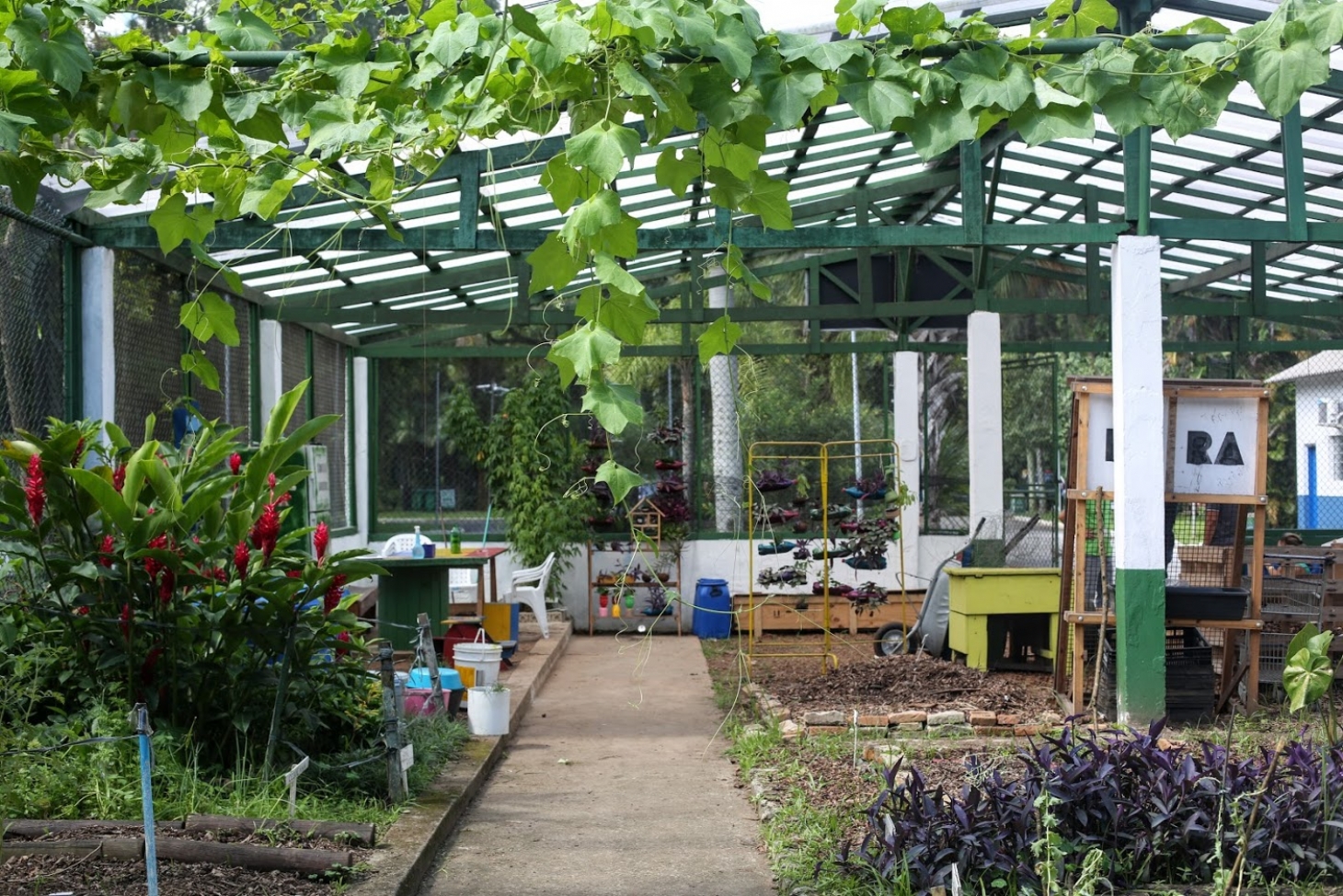 Jardim Botânico de Santos ensina técnicas de agricultura urbana | Jornal da Orla
