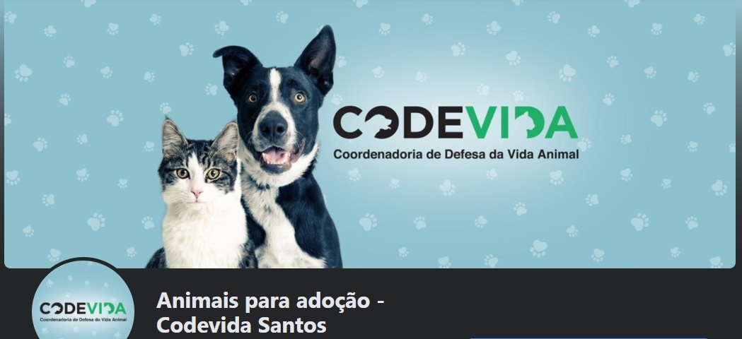 Codevida lança página no Facebook para incentivar a adoção de animais em Santos | Jornal da Orla