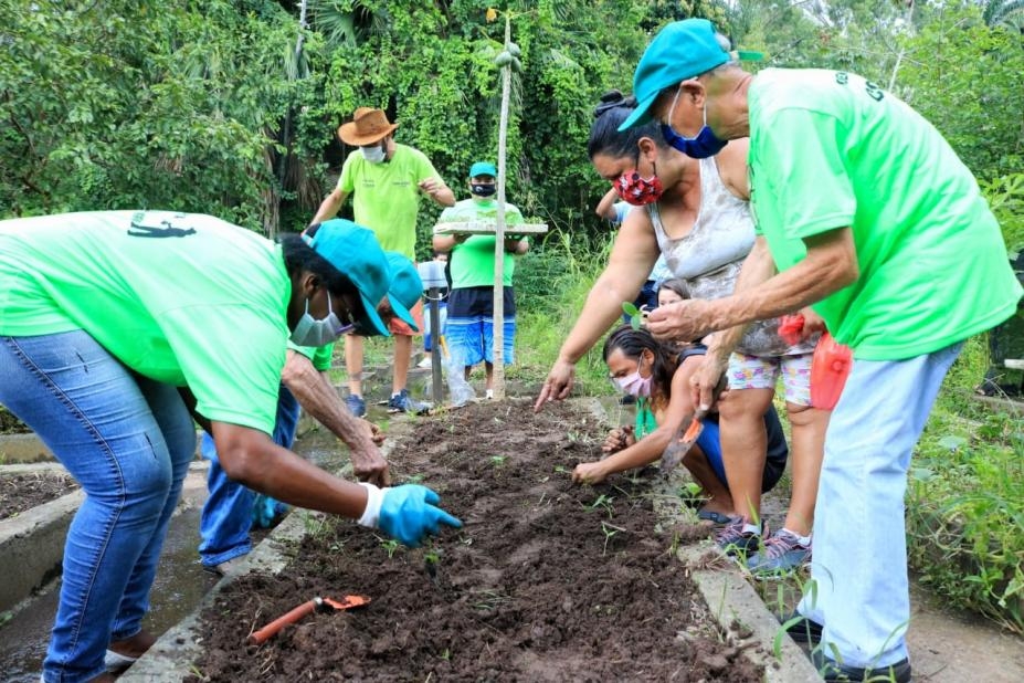 Voluntários podem colaborar com horta do Jardim Botânico de Santos | Jornal da Orla