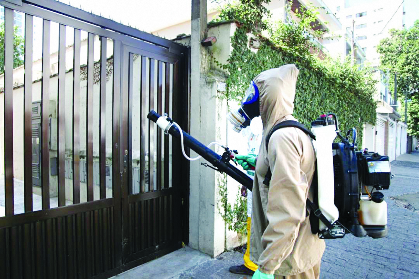 Doenças transmitidas pelo Aedes aegypti também preocupam