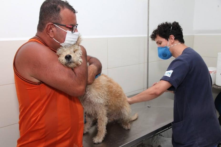 Pets podem ser atendidos em casos emergenciais na Codevida | Jornal da Orla