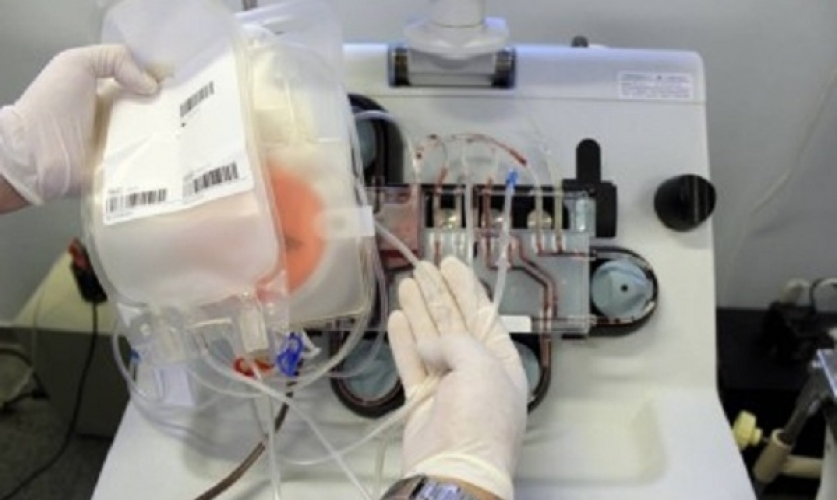 SP cria rede de transfusão de plasma para tratamento de doentes com Covid-19