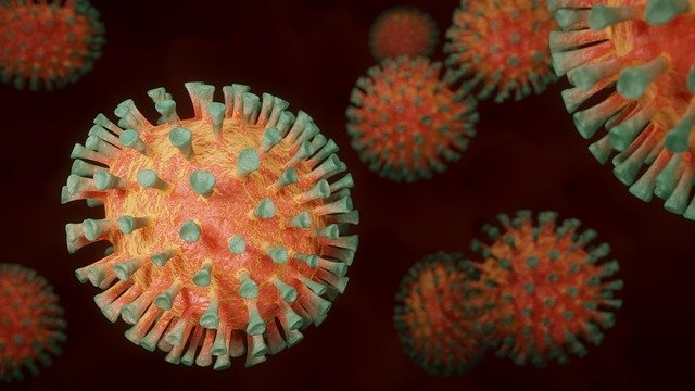Pesquisadores da USP encontram novo coronavírus na gengiva de pacientes com covid-19 | Jornal da Orla