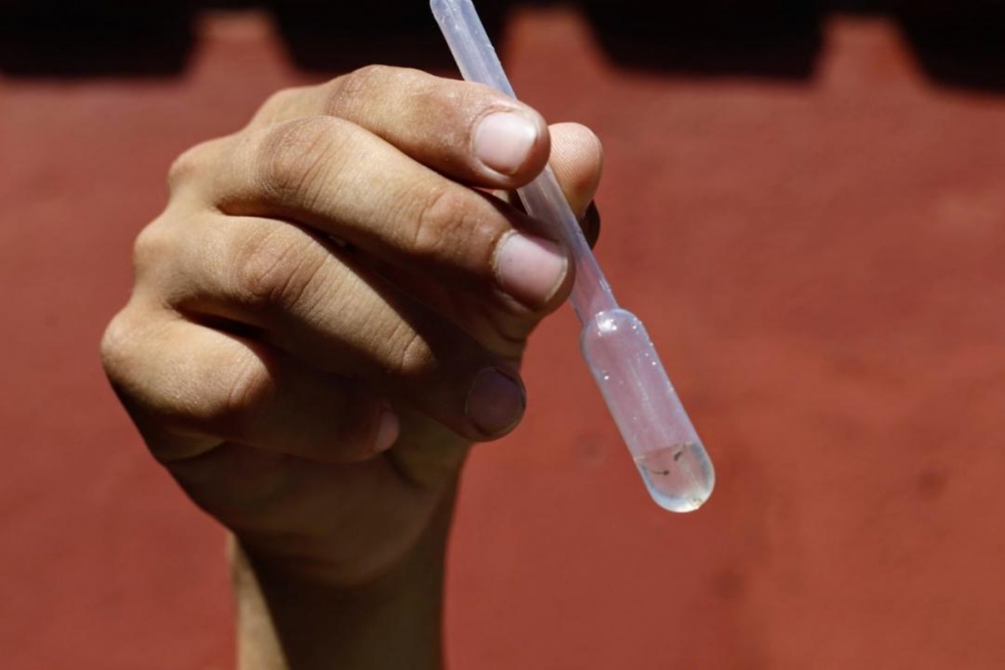 Adiado para esta quarta-feira o fumacê na Zona Noroeste de Santos
