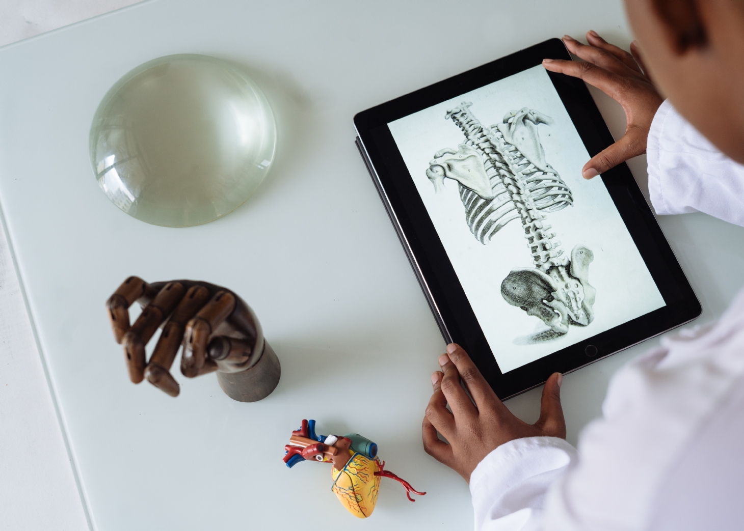 Médicos ortopedistas: o que são e quais as especialidades atendidas? | Jornal da Orla