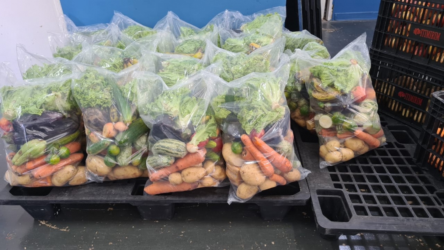 Projeto distribui mais de uma tonelada de alimentos em Guarujá