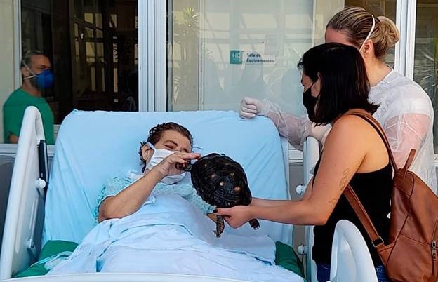 Paciente pede a visita de seu jabuti de estimação em hospital de Cubatão | Jornal da Orla