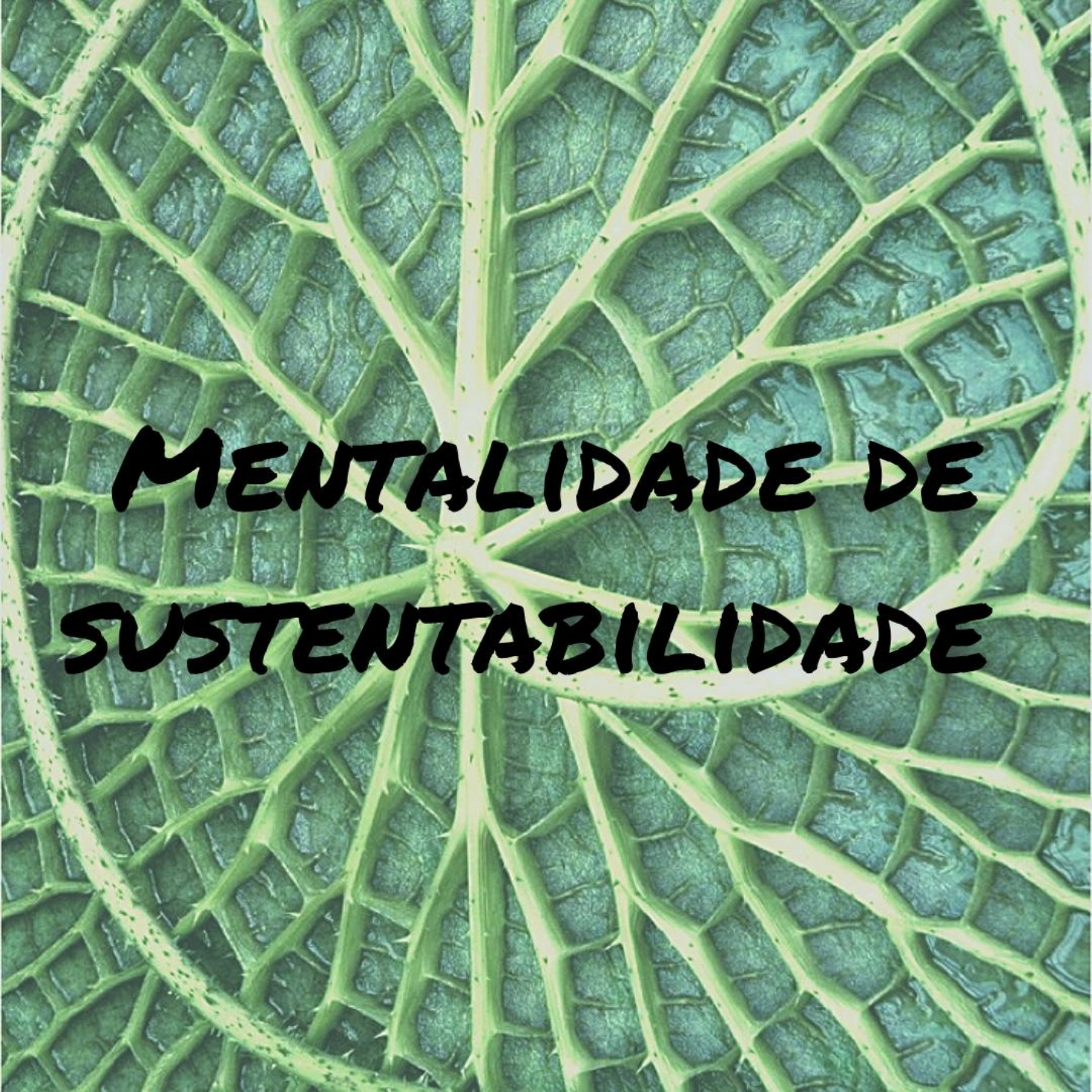 Mentalidade de Sustentabilidade | Jornal da Orla