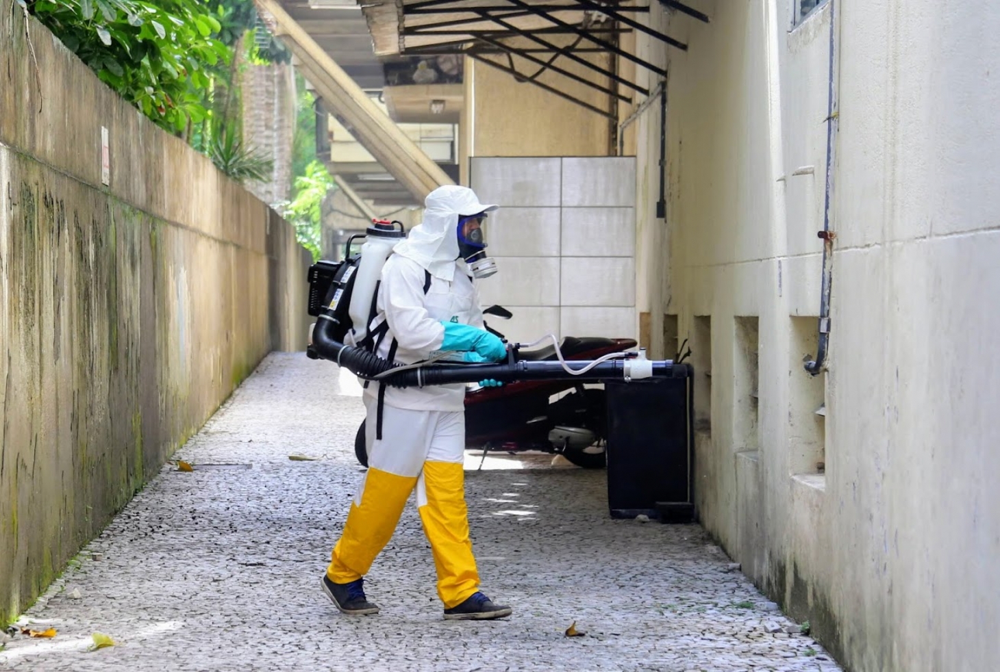 Nebulização contra o Aedes aegypti segue na Zona Noroeste de Santos