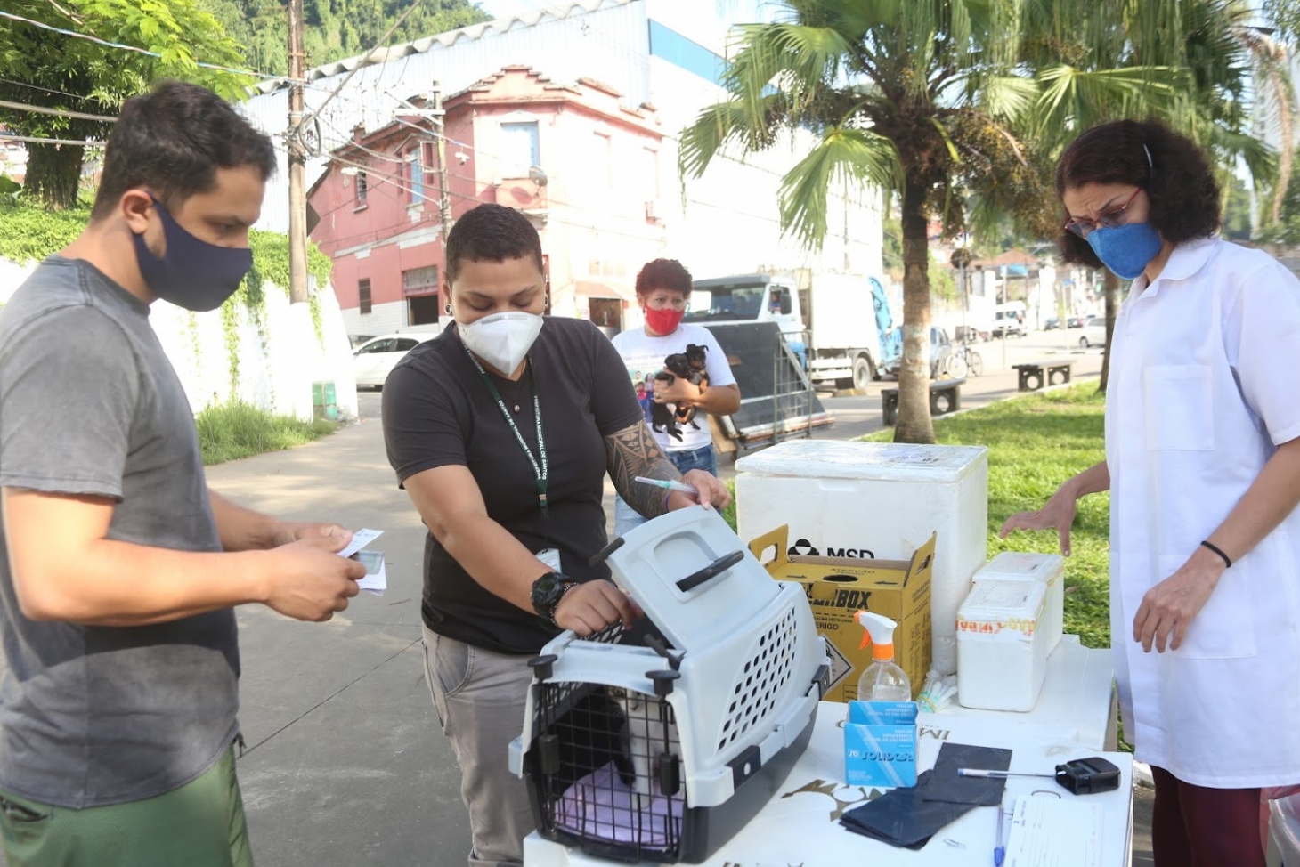 Em dois dias, 200 cães e gatos são vacinados em Santos | Jornal da Orla