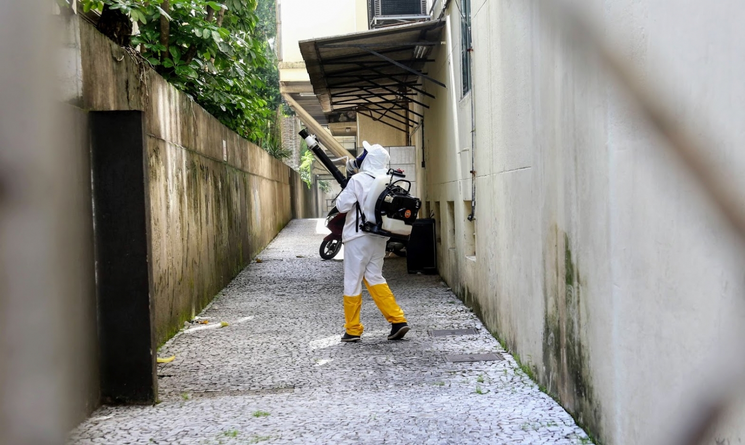 Morro de Santos recebe nebulização contra o Aedes aegypti | Jornal da Orla