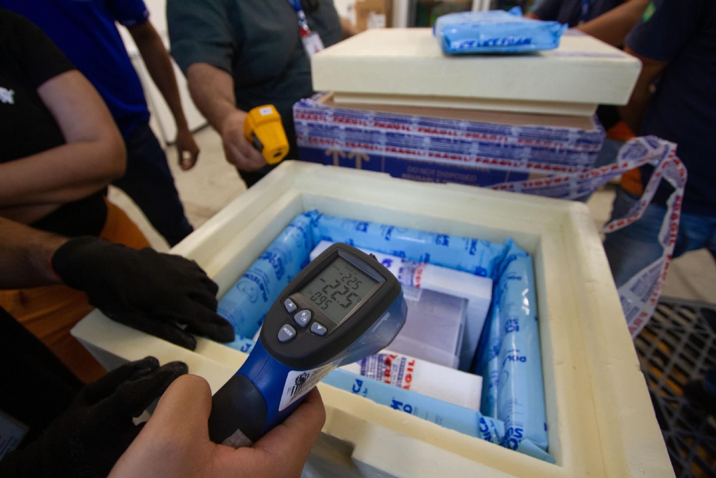 Brasil recebe lote com 629 mil doses da vacina da Pfizer