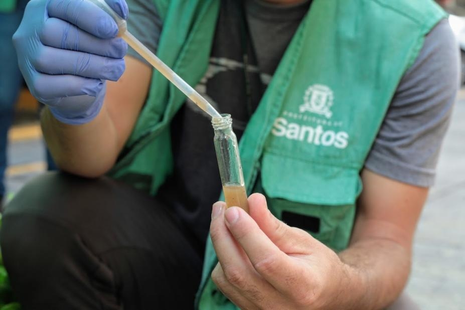 Santos terá Dia D contra o Aedes aegypti neste sábado