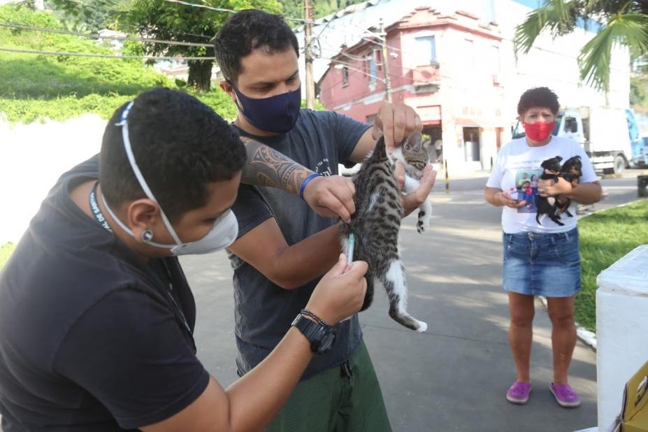 Mais de 3.500 cães e gatos são vacinados em Santos em quase três meses | Jornal da Orla
