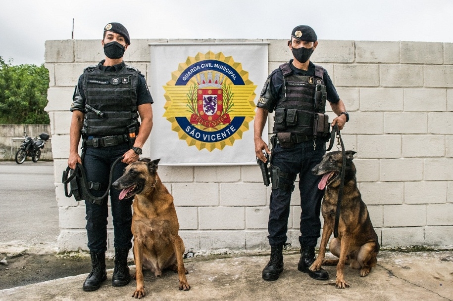 Cães da GCM de São Vicente se aposentam após serviços prestados à sociedade | Jornal da Orla