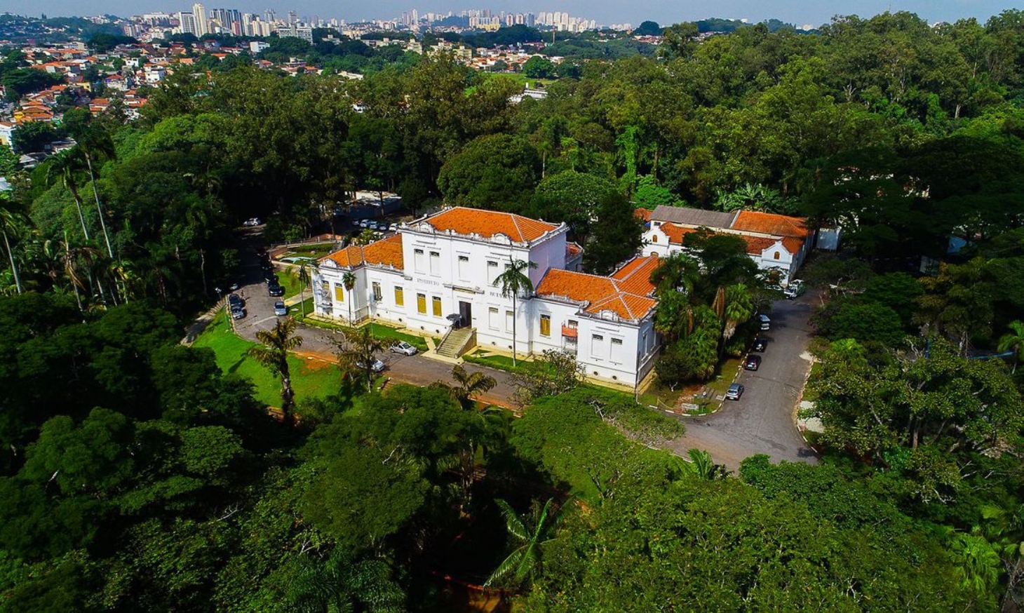 Butantan estuda a criação de uma vacina única contra a gripe e covid-19