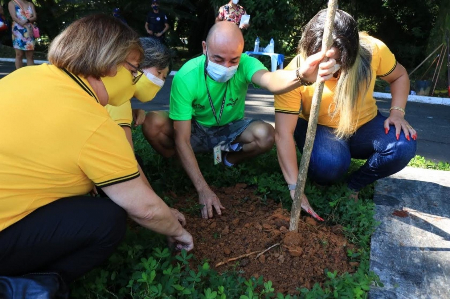 Ipê-amarelo homenageia profissionais de saúde e vítimas da covid em Santos