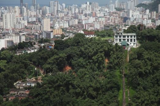 Plano de conservação ambiental de Santos terá discussão virtual | Jornal da Orla
