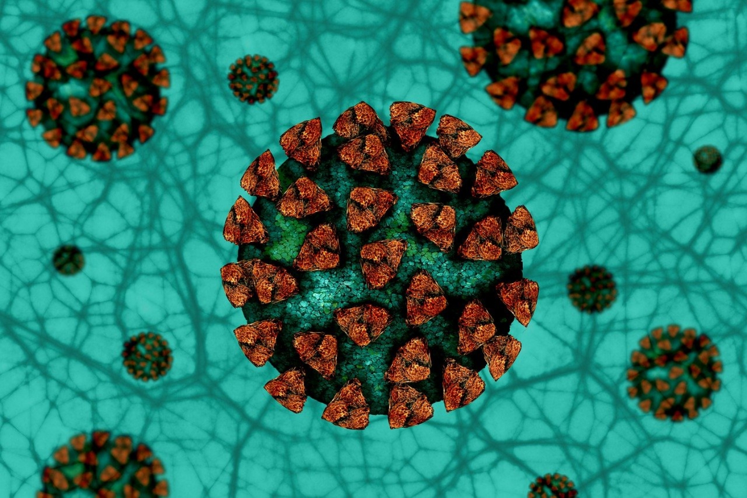 Novo coronavírus se replica em glândulas salivares, mostra pesquisa da USP | Jornal da Orla
