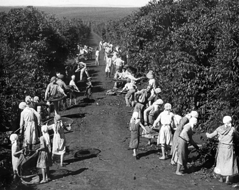 Museu do Café promove exposição sobre a presença feminina na história da bebida