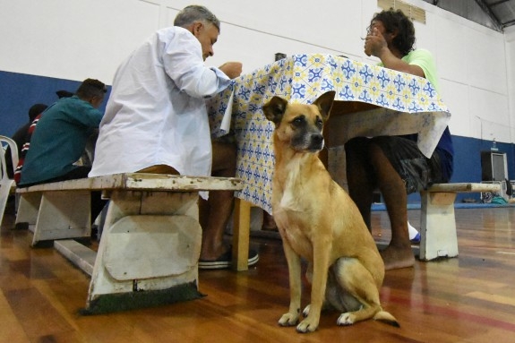 Animais recebem abrigo junto com seus donos em Praia Grande