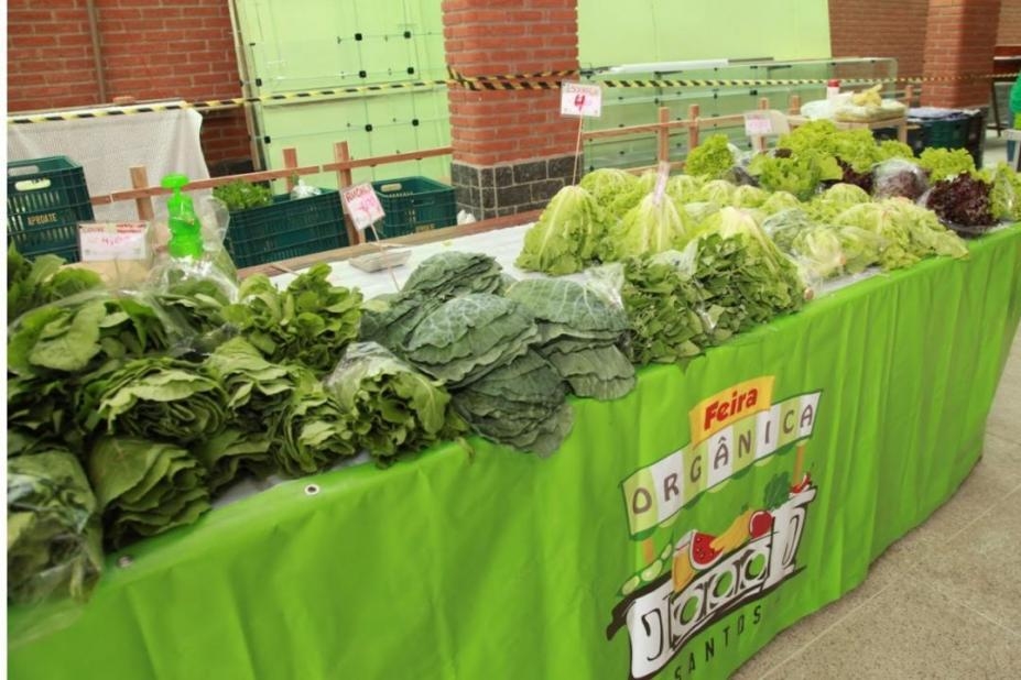 Feira de Orgânicos de Santos completa 10 anos com programação especial neste sábado
