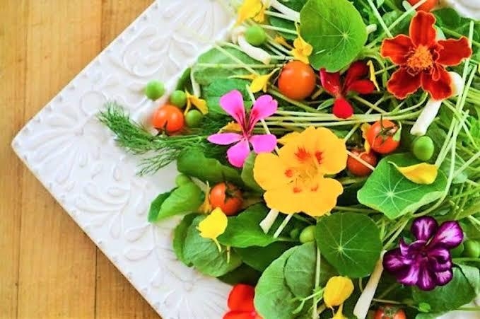 Oficinas em Santos mostram o uso de flores na culinária e ambientes