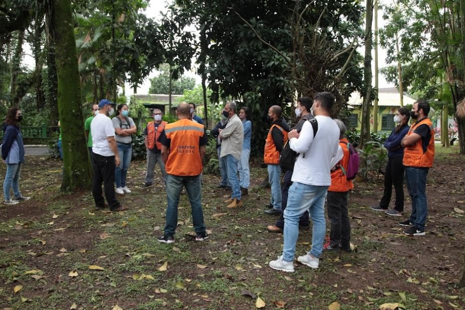 Santos prepara plano para evitar queda de árvores | Jornal da Orla